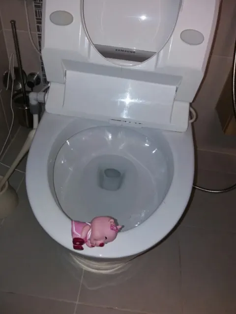 변기에서 꺼낸 분홍색 돼지 인형