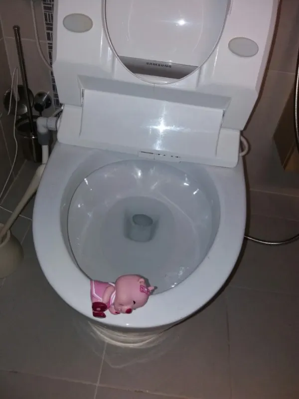 변기에서 꺼낸 분홍색 돼지 인형