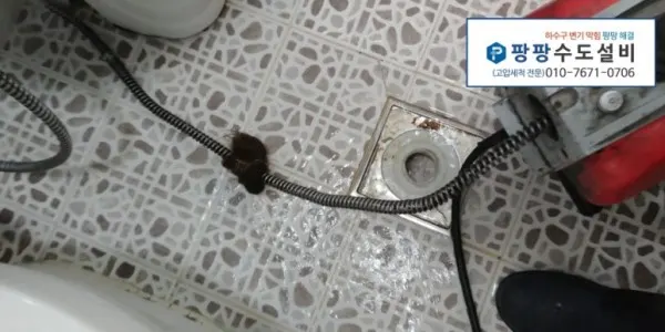 화장실 배수구에서 스프링에 딸려 나온 머리카락